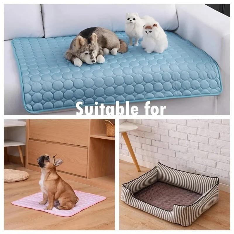 Tapete para suor de pets - Allinone